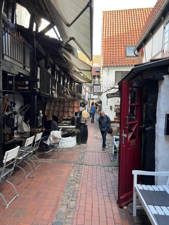 弗伦斯堡Burghofdrei Hygge & Zentral P-Platz Streaming公寓 外观 照片
